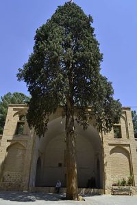 ایوان قبلی مسجد جامع نیریز